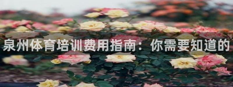 极悦娱乐app官方版本更新内容在哪：泉州体育培训费用