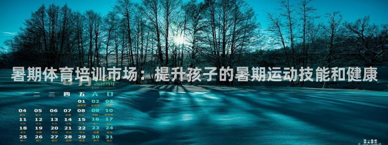 极悦官方网站入口网址是多少：暑期体育培训市场：提升孩