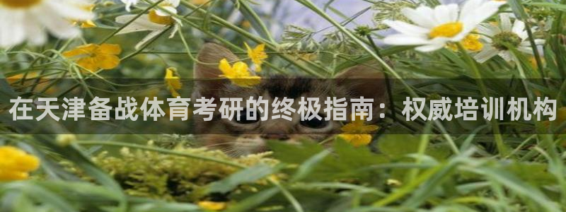 极悦平台使用注意事项有哪些：在天津备战体育考研的终极