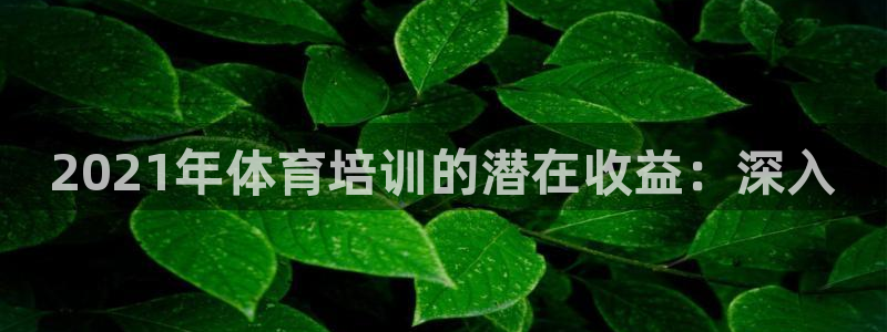极悦平台代理怎么样可靠吗：2021年体育培训的潜在收