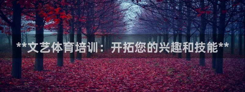 极悦平台注册用户名验证失败：**文艺体育培训：开拓您