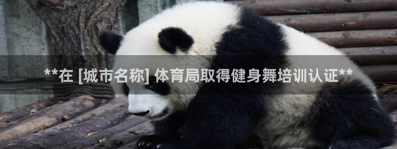 极悦平台注册用户名生成器是什么：**在 [城市名称]