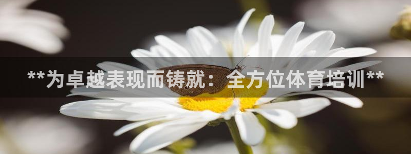 极悦娱乐的创始人背景故事简介：**为卓越表现而铸就：