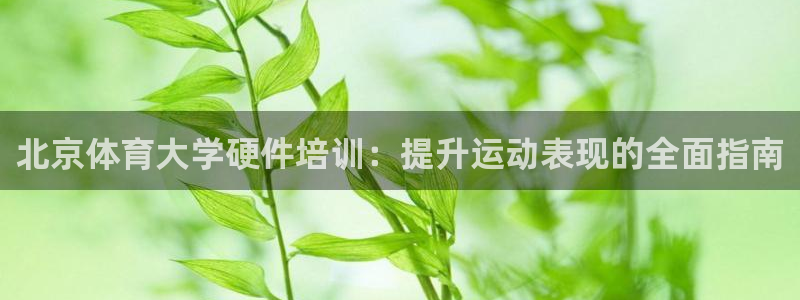 极悦官网入口登录：北京体育大学硬件培训：提升运动表现
