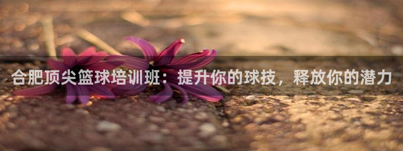 极悦平台反7O777：合肥顶尖篮球培训班：提升你的球