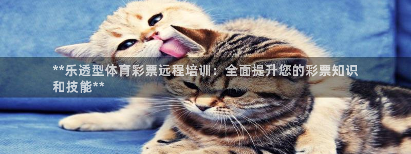 极悦平台官方网址是多少：**乐透型体育彩票远程培训：