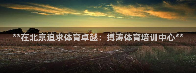 极悦平台代理电话：**在北京追求体育卓越：搏涛体育培