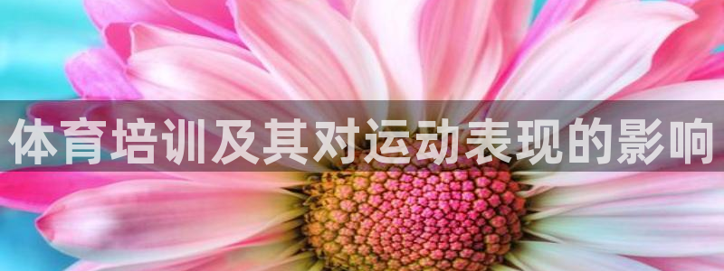 极悦娱乐下载官网：体育培训及其对运动表现的影响