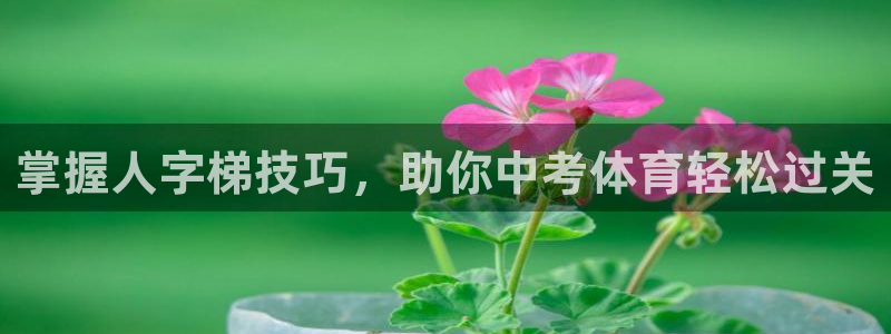极悦平台官网入口网站：掌握人字梯技巧，助你中考体育轻