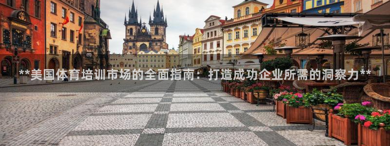 极悦平台与网易合作详情：**美国体育培训市场的全面指