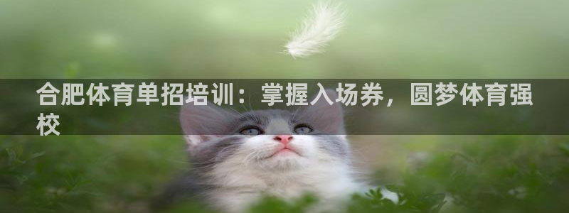 极悦平台官方网站登录：合肥体育单招培训：掌握入场券，