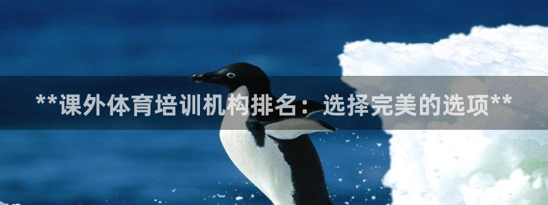 极悦平台平台注册方法与步骤视频：**课外体育培训机构