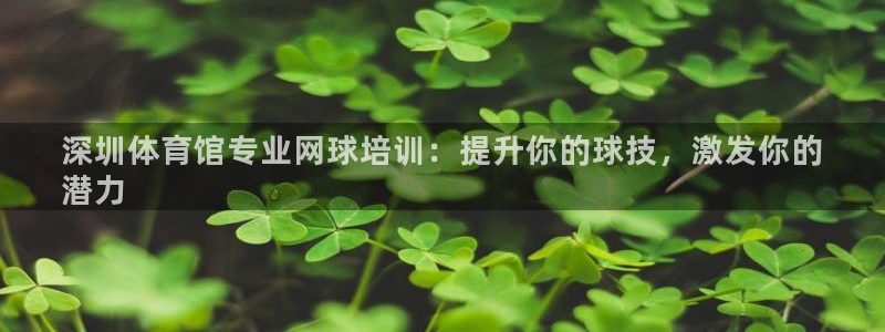 极悦官方网站入口网址大全：深圳体育馆专业网球培训：提