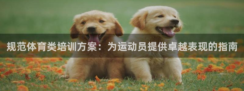 极悦平台布7O777：规范体育类培训方案：为运动员提