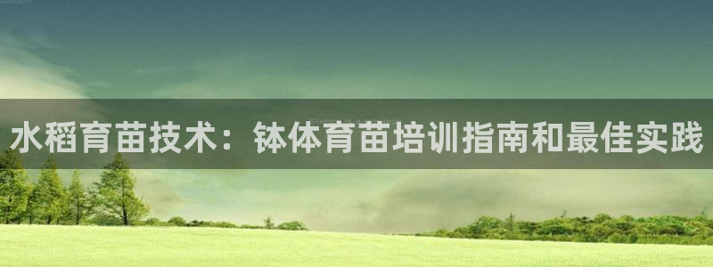 极悦娱乐官方网站首页：水稻育苗技术：钵体育苗培训指南