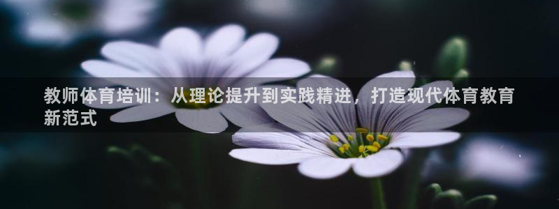 极悦平台告7O777：教师体育培训：从理论提升到实践