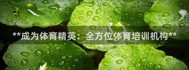 极悦平台注册用户名验证：**成为体育精英：全方位体育