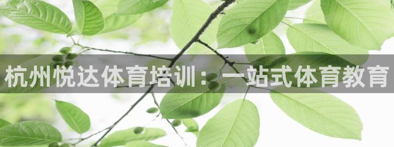 极悦平台官网登录入口手机版：杭州悦达体育培训：一站式