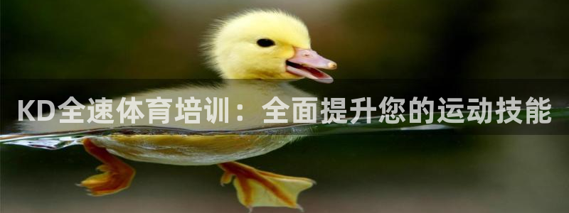 极悦娱乐app官方版本更新内容是什么：KD全速体育培