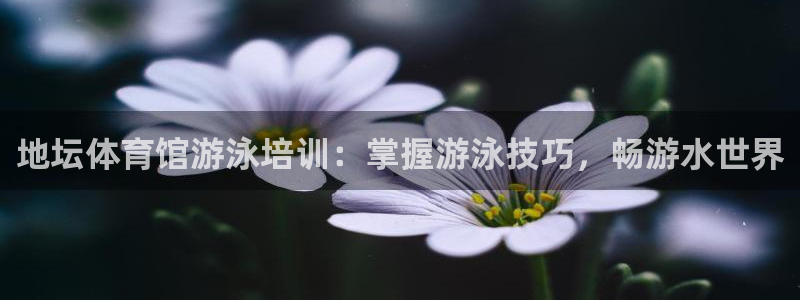 极悦平台官网登录入口网址：地坛体育馆游泳培训：掌握游