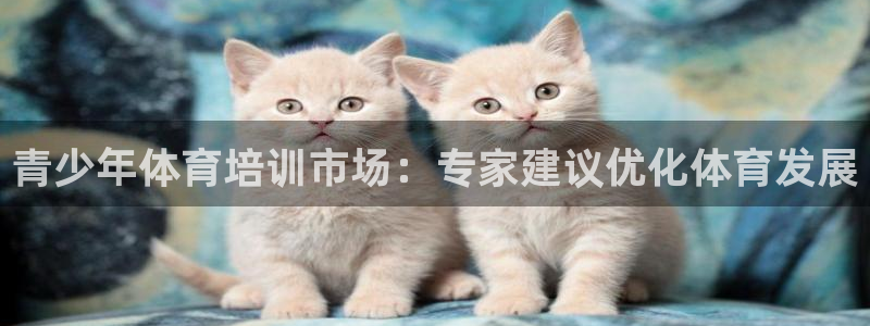 极悦平台注册和登录页面：青少年体育培训市场：专家建议