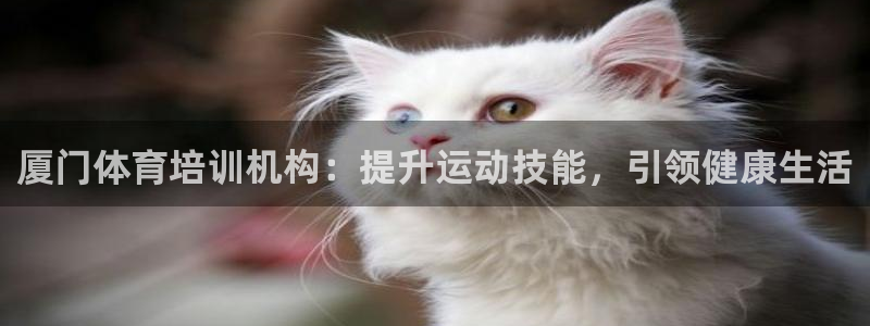 极悦娱乐管理最建议买吗：厦门体育培训机构：提升运动技