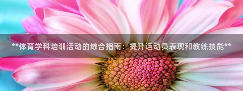 极悦平台注册的弊端及解决方法：**体育学科培训活动的