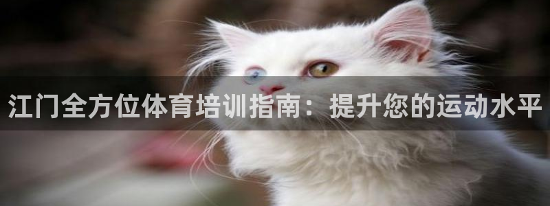 极悦平台注册流程图：江门全方位体育培训指南：提升您的