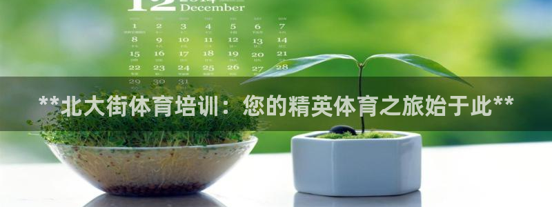 极悦平台平台注册方法与步骤：**北大街体育培训：您的