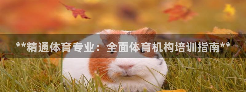 极悦平台官网登录不了：**精通体育专业：全面体育机构