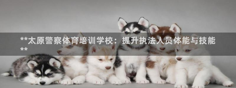 极悦平台：**太原警察体育培训学校：提升执法人员体能