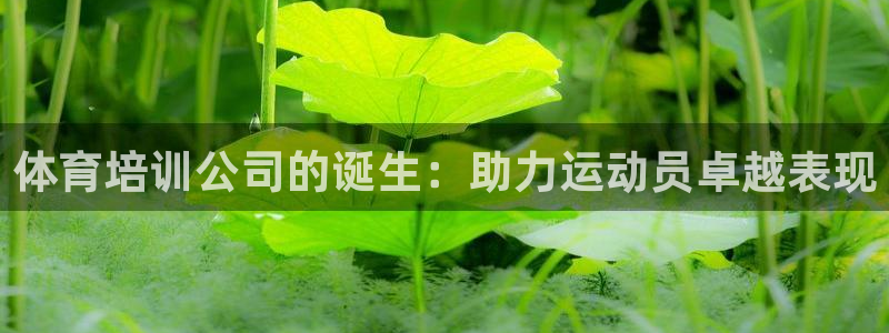 极悦平台注册和登录页面不一样：体育培训公司的诞生：助