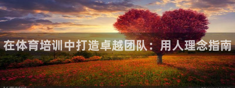 极悦平台官方网站首页下载：在体育培训中打造卓越团队：