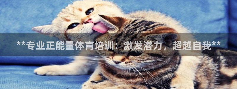极悦平台使用教程视频：**专业正能量体育培训：激发潜