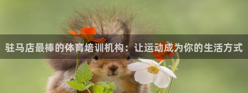 极悦平台官方网址：驻马店最棒的体育培训机构：让运动成