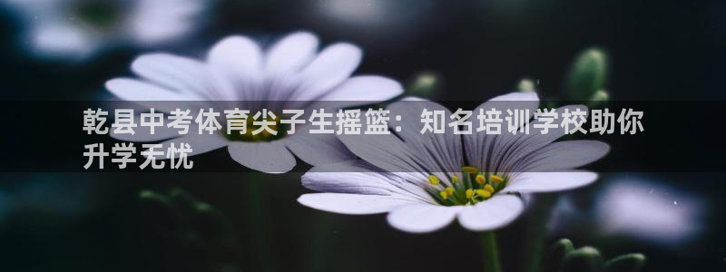 极悦娱乐游戏安全吗：乾县中考体育尖子生摇篮：知名培训