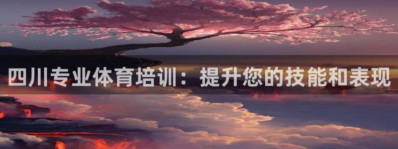 极悦平台是干什么的公司：四川专业体育培训：提升您的技