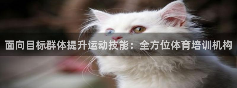 极悦娱乐官网下载app：面向目标群体提升运动技能：全