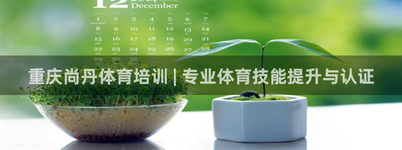 极悦娱乐会被骗吗是真的吗：重庆尚丹体育培训 | 专业