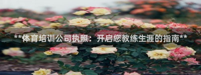极悦平台app二维码怎么弄的：**体育培训公司执照：