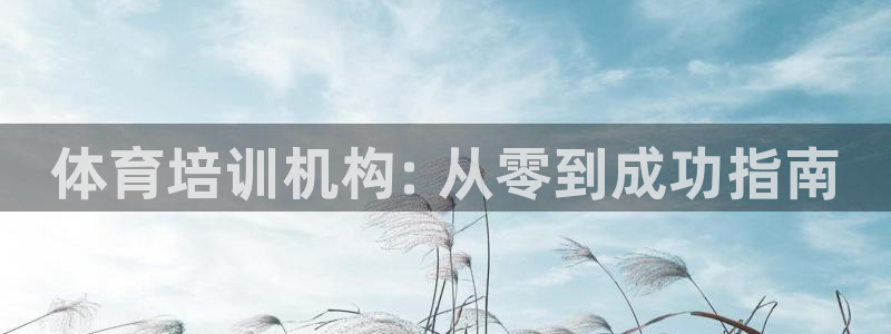 极悦平台官网登录不了了：体育培训机构: 从零到成功指