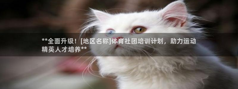 极悦平台注册流程详解图片：**全面升级！[地区名称]