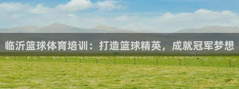 极悦平台注册官方网站下载安卓：临沂篮球体育培训：打造