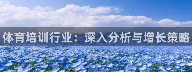 极悦平台官网入口网站：体育培训行业：深入分析与增长策