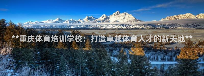 极悦娱乐代理怎么样：**重庆体育培训学校：打造卓越体
