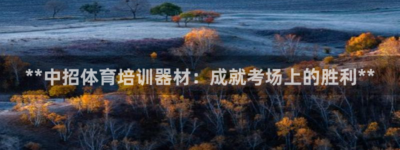 极悦平台注册流程详解视频：**中招体育培训器材：成就