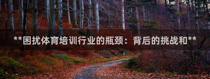 极悦平台是干什么的：**困扰体育培训行业的瓶颈：背后