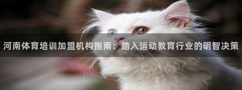 极悦平台注册流程：河南体育培训加盟机构指南：踏入运动
