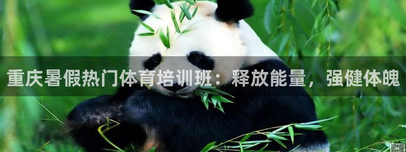 极悦官网登录：重庆暑假热门体育培训班：释放能量，强健