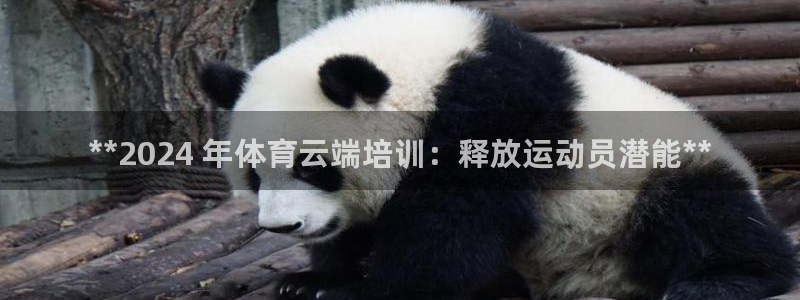 极悦牙膏怎么样好不好：**2024 年体育云端培训：